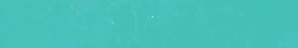 A3